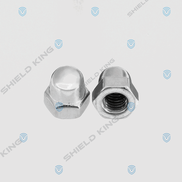 SS304 HEX DOME NUT M10