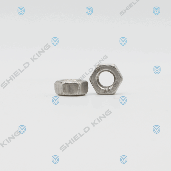 M10 Hex Nut SS